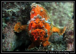 Underwater security :-) by Raoul Caprez 